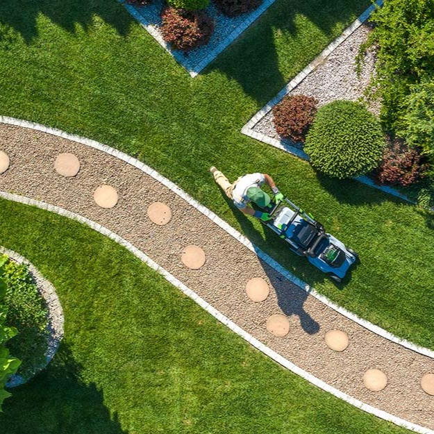 Cost of Landscaping in Dubai: Factors, Budgeting & More